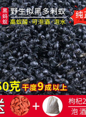 广西横县野生大黑蚂蚁干中正品拟黑多刺蚁250g养生精选泡酒料