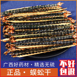 干货红头蜈蚣蜈公干全虫体完整 15-16公分大蜈蚣整条50条包邮