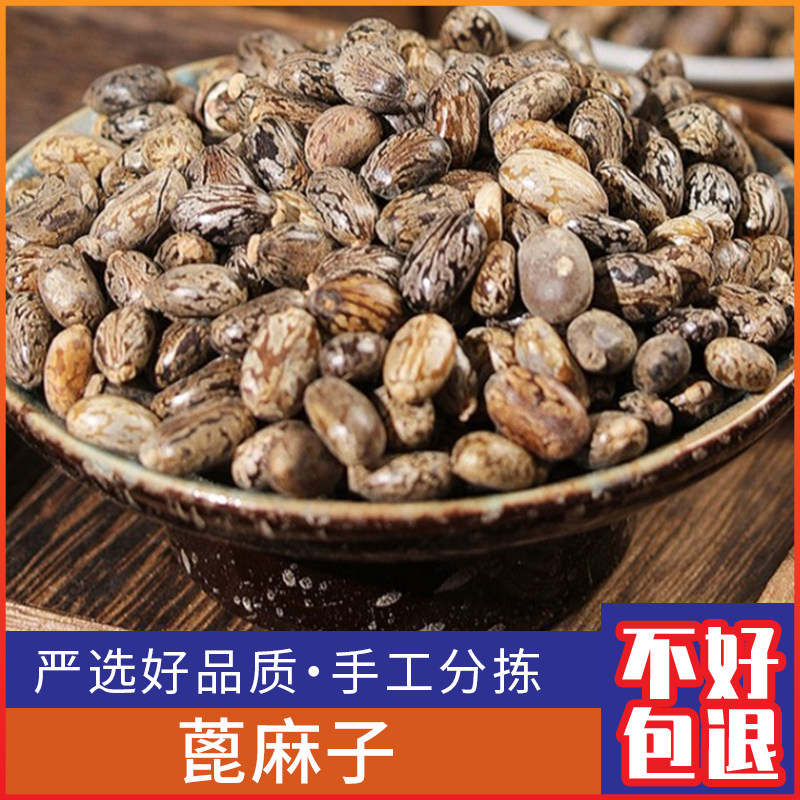 广西野生蓖麻子新鲜干货红蓖麻籽 仁蓖麻子 大麻子500g包邮