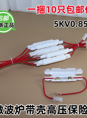 通用微波炉配件高压保险丝管5kv保险带线带壳5kv全新微波炉保险丝