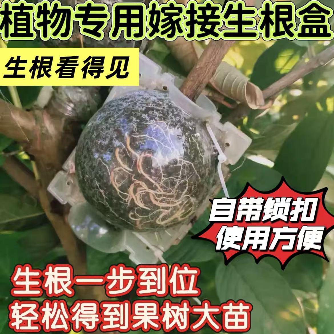 植物专用高压嫁接生根盒