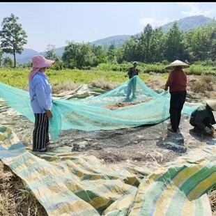 菜籽筛网网布油菜籽布收油菜籽专用过滤网神器晒干打油菜布晾晒网