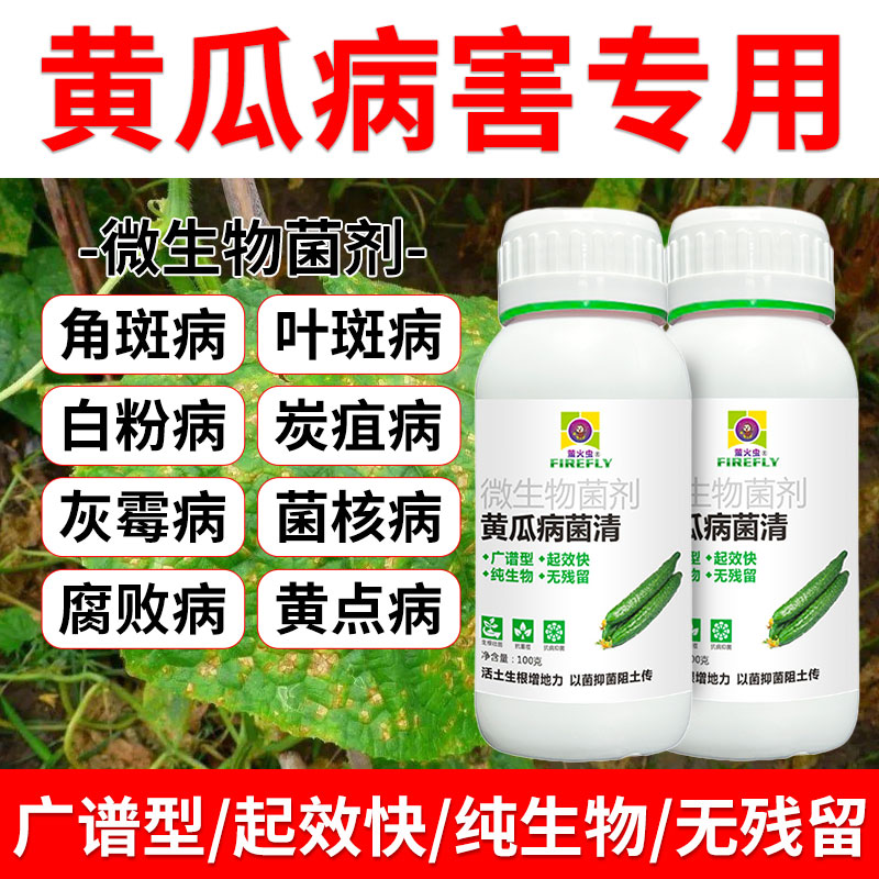 黄瓜白斑灰斑专用菌立清微生物菌剂灰霉锈病细菌真菌病毒病杀菌剂