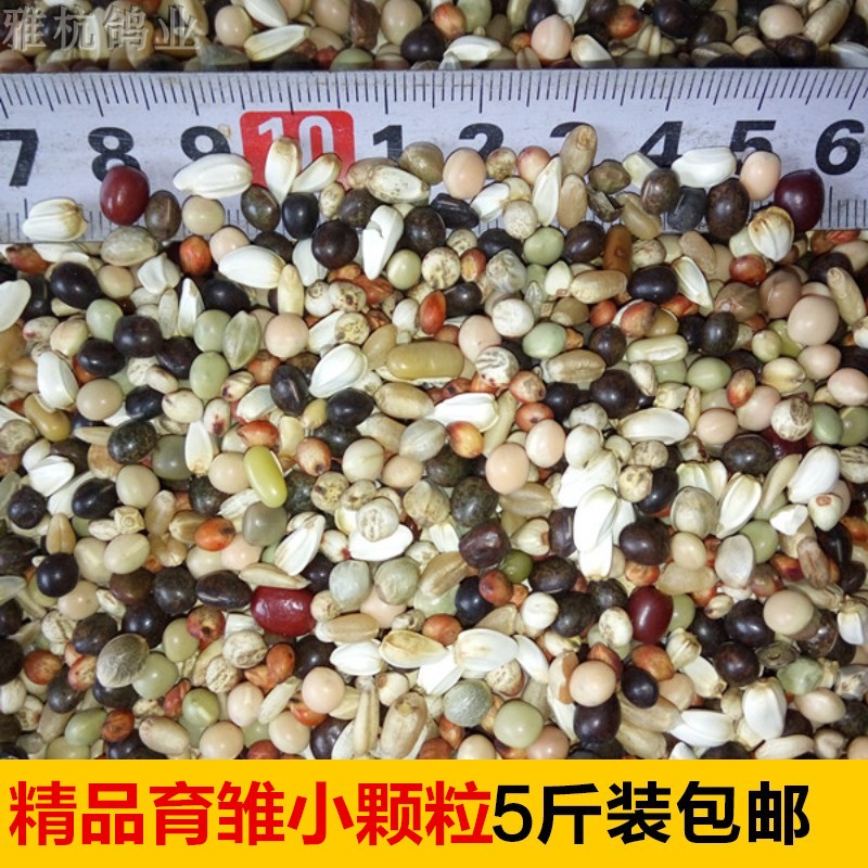 5斤散装无玉米用具包邮保健砂