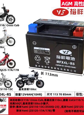 适用本田CT125 MSX125幼兽CUB50 110曼肯灵明150小猴子电瓶锂电池