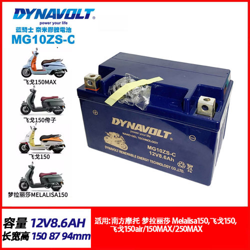 YTZ14S梦拉丽莎150飞戈150南方飞戈250MAX蒙娜丽莎摩托车电瓶电池
