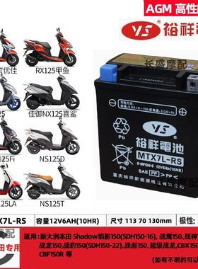 适用新大洲本田NS125LA NS125RX NS125D NS110R NS110i电瓶蓄电池
