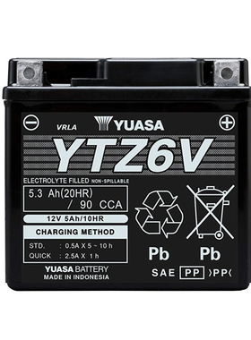 用于本田DUNK 50 110祖玛ZOOMER-X Giorno APE50摩托车电瓶蓄电池