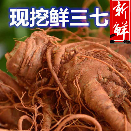 新鲜三七云南文山现挖活生田七鲜三七500g泡酒10头正品炖鸡非野生