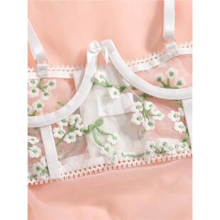 lingerie Sexy and seductive perspective mesh