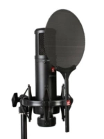 American SE 2200 Professional Recording Dubbing K Song Equipmor Anchor Live Microphone Большой вибрационная пленка Микрофон