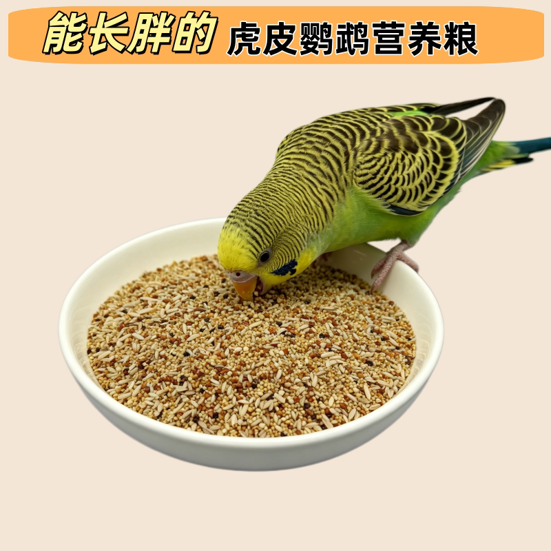 虎皮牡丹玄风小型鹦鹉专研配比粮