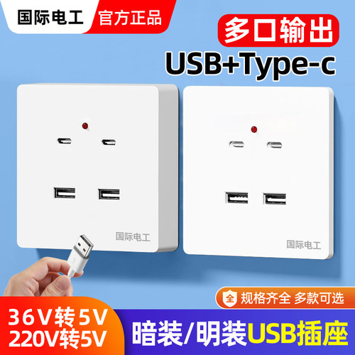 USB插座SERNICNE/国际电工