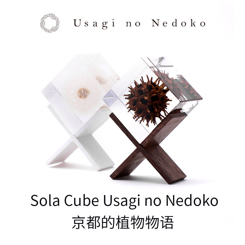 顺丰七夕礼物京都的植物物语宇宙立方Sola Cube Usagi no Nedoko