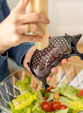 德国进口 Koziol Kasimir 乳酪磨碎器 卡奶酪蔬果刨丝厨房工具