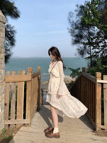 长裙大码茶歇夏季荷叶边碎花法式