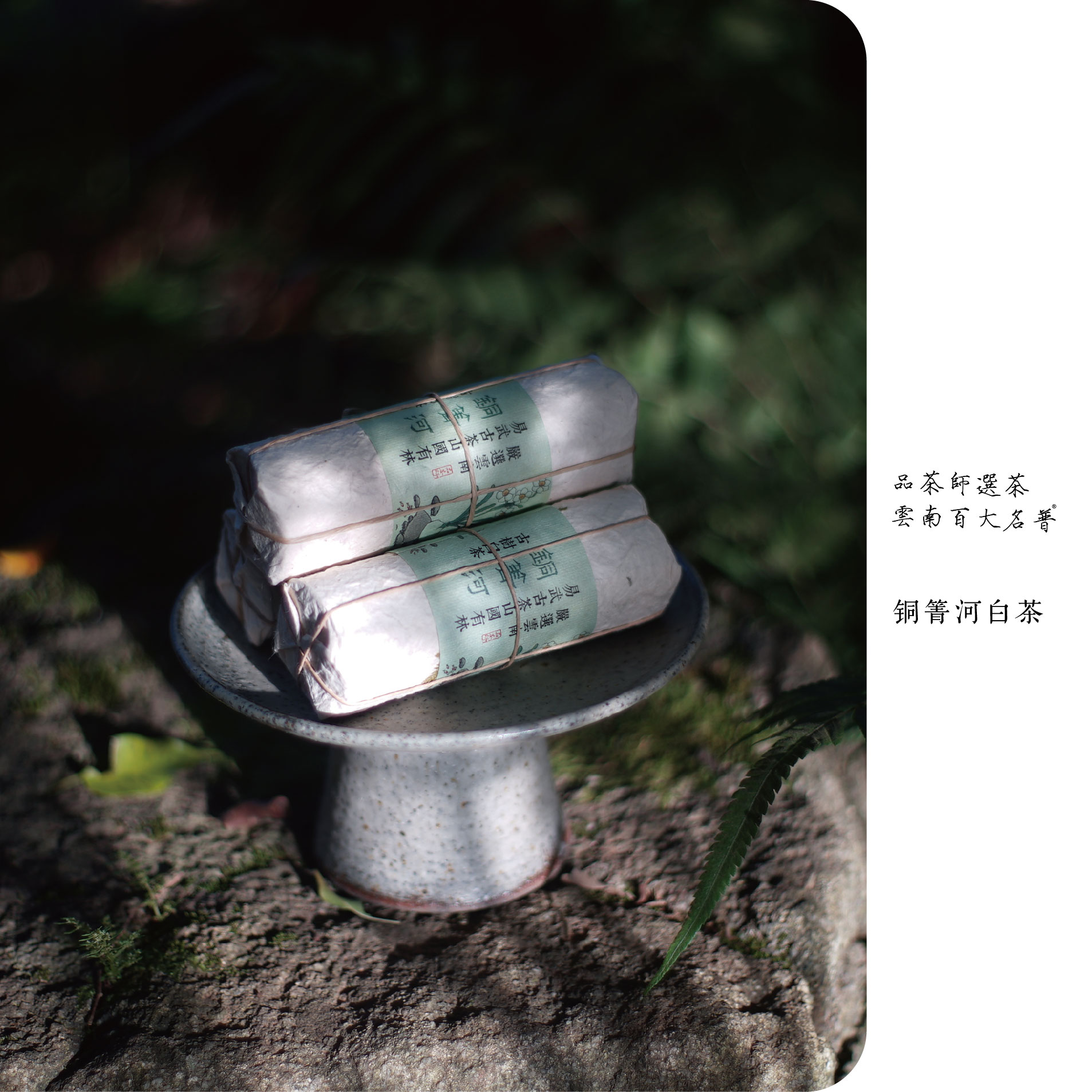 白知己 |双十一福利款·2025年易武铜箐河古树白茶小饼20片每卷