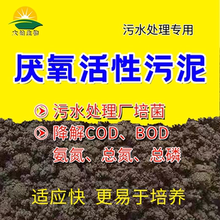 厌氧活性污泥菌污水处理菌水解酸化缺氧池厌氧池生化系统启动培菌