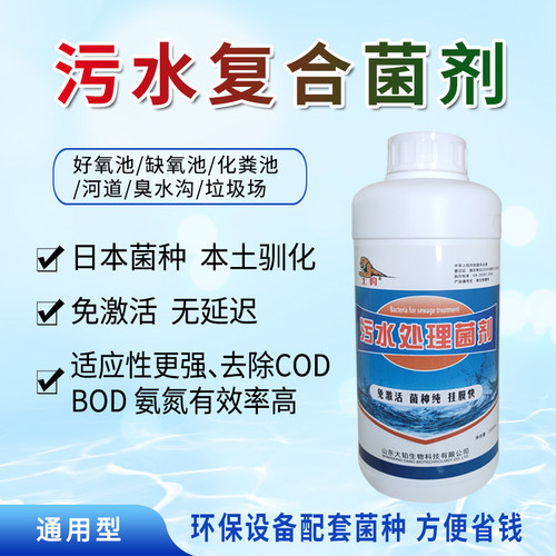 污水处理复合菌剂活性污泥菌除臭