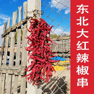 25年新东北干辣椒成串薄皮干红辣椒农家晒干大红辣椒九分干半斤