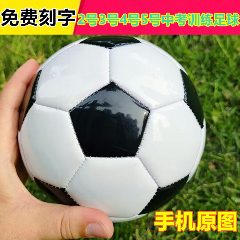 包邮2号小皮球儿童婴幼儿园足球1-3岁宝宝足球2号环保进口PU足球