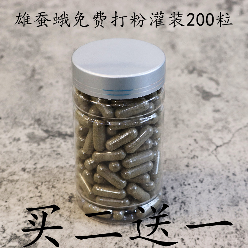 雄蚕蛾粉胶囊原蚕蛾未交配公蚕蛾桑蚕非野生蚕蛾200粒