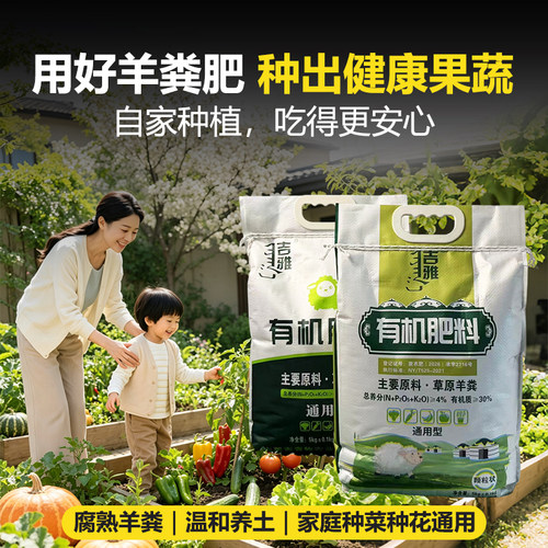 种孩子爱吃健康绿色水果蔬菜肥料
