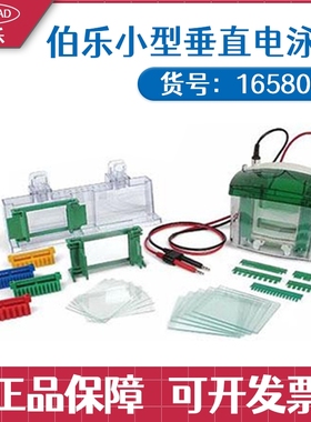 美国Bio-rad伯乐 Mini-PROTEAN Tetra小型垂直电泳槽/1658001