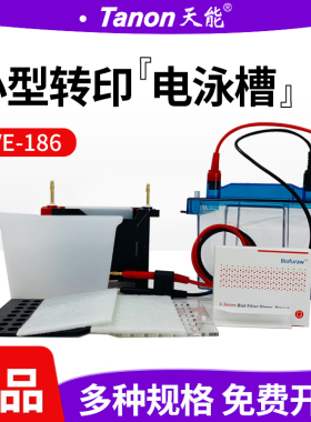 Tanon天能VE-186 WB转移转印电泳槽(标配 ) 湿转2块胶 186-1000