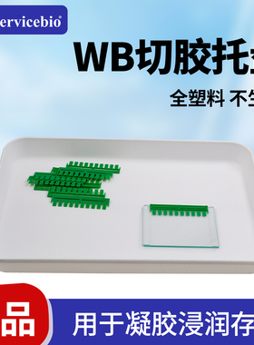 赛维尔WB专用切胶托盘 PP塑料方盒 实验室湿转浸润凝胶转膜存放盒