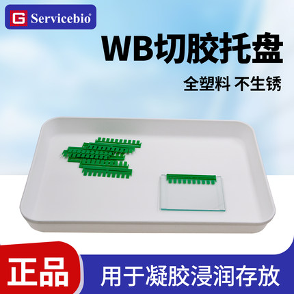 赛维尔WB专用切胶托盘 PP塑料方盒 实验室湿转浸润凝胶转膜存放盒