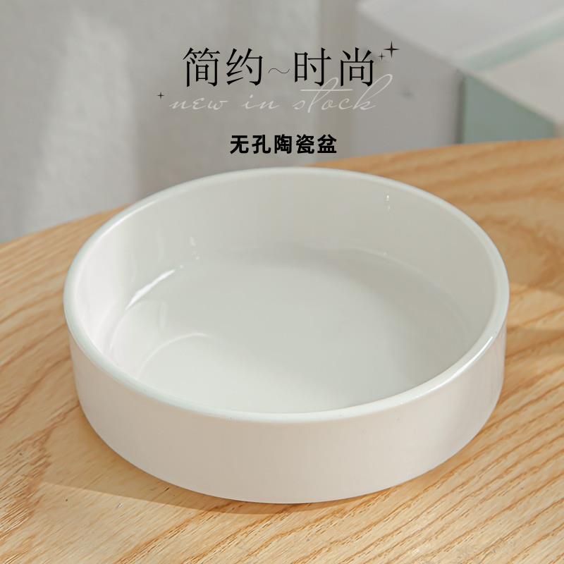 巴西木花简约陶瓷盆盆专用盆水培器皿幸运木白色现代无孔花盆托盘
