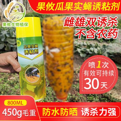 果攸诱粘剂诱虫瓶果蝇杨梅樱桃