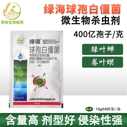绿海400亿球孢白僵菌 茶小绿叶蝉稻纵卷叶螟 微生物杀虫剂
