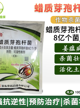 泰诺蜡质芽孢杆菌 大姜生姜姜瘟病烂脖细菌性病害生物杀菌剂