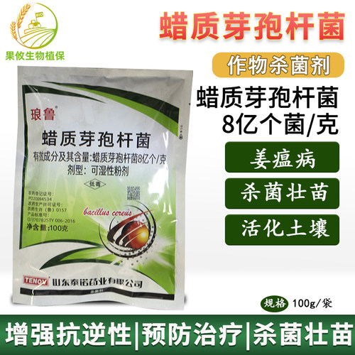 蜡质芽孢杆菌生姜姜瘟病