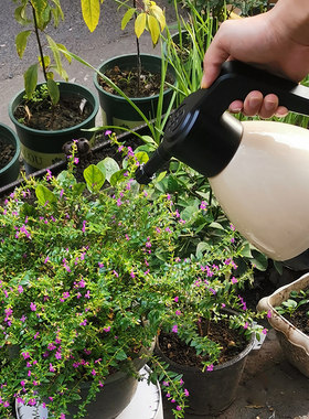 铜头喷水壶浇花壶喷嘴雾化阳台