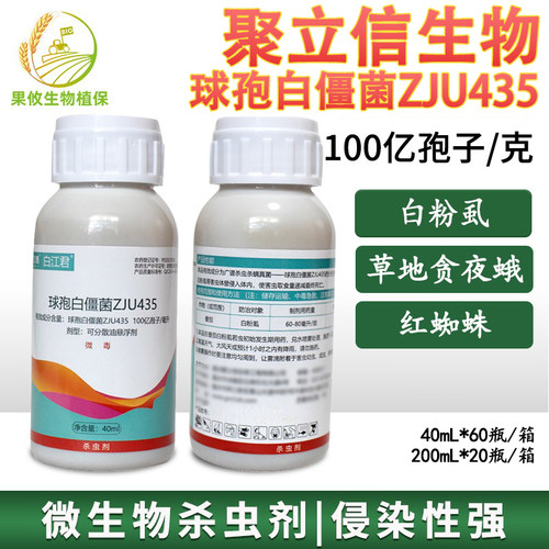 聚立信球孢白僵菌白粉虱红蜘蛛