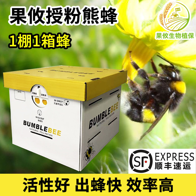 定时发货】果攸授粉熊蜂番茄茄子草莓授粉蜂 蜜蜂多地快递包邮,农用物资,授粉蜂,淘宝优惠券,粉丝福利购,淘宝优惠卷