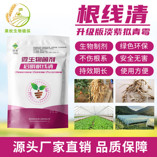 启明根线清 防根结线虫专用 淡紫紫孢菌拟青霉黄瓜烟叶辣椒番茄