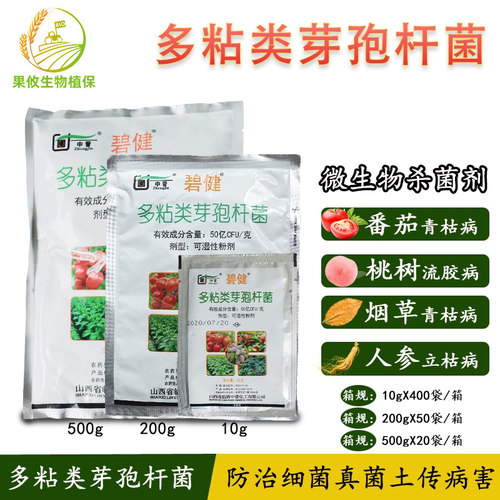 50亿青枯病桃树微生物芽孢杆菌