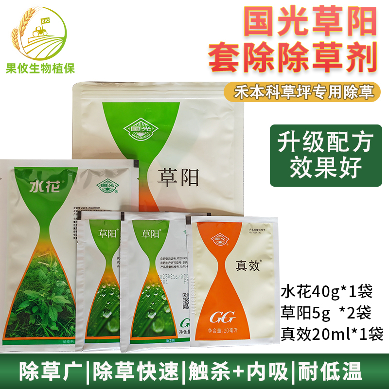 国光草阳百慕大马尼拉黑麦草