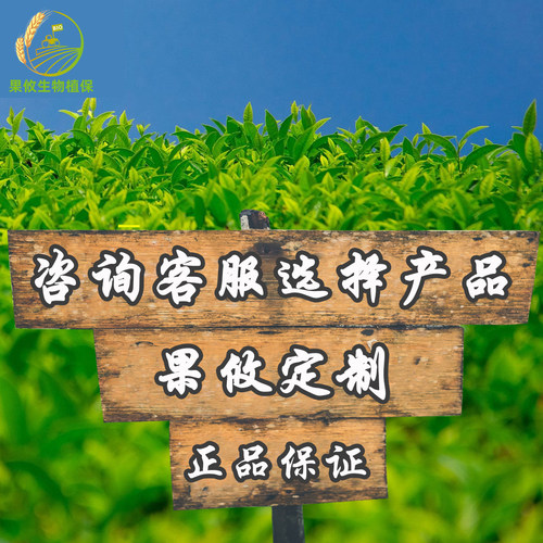 果攸农资定制产品链接
