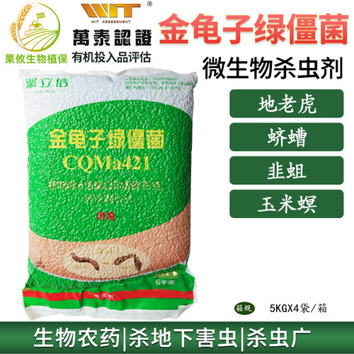 聚立信金龟子绿僵菌杀地下害虫