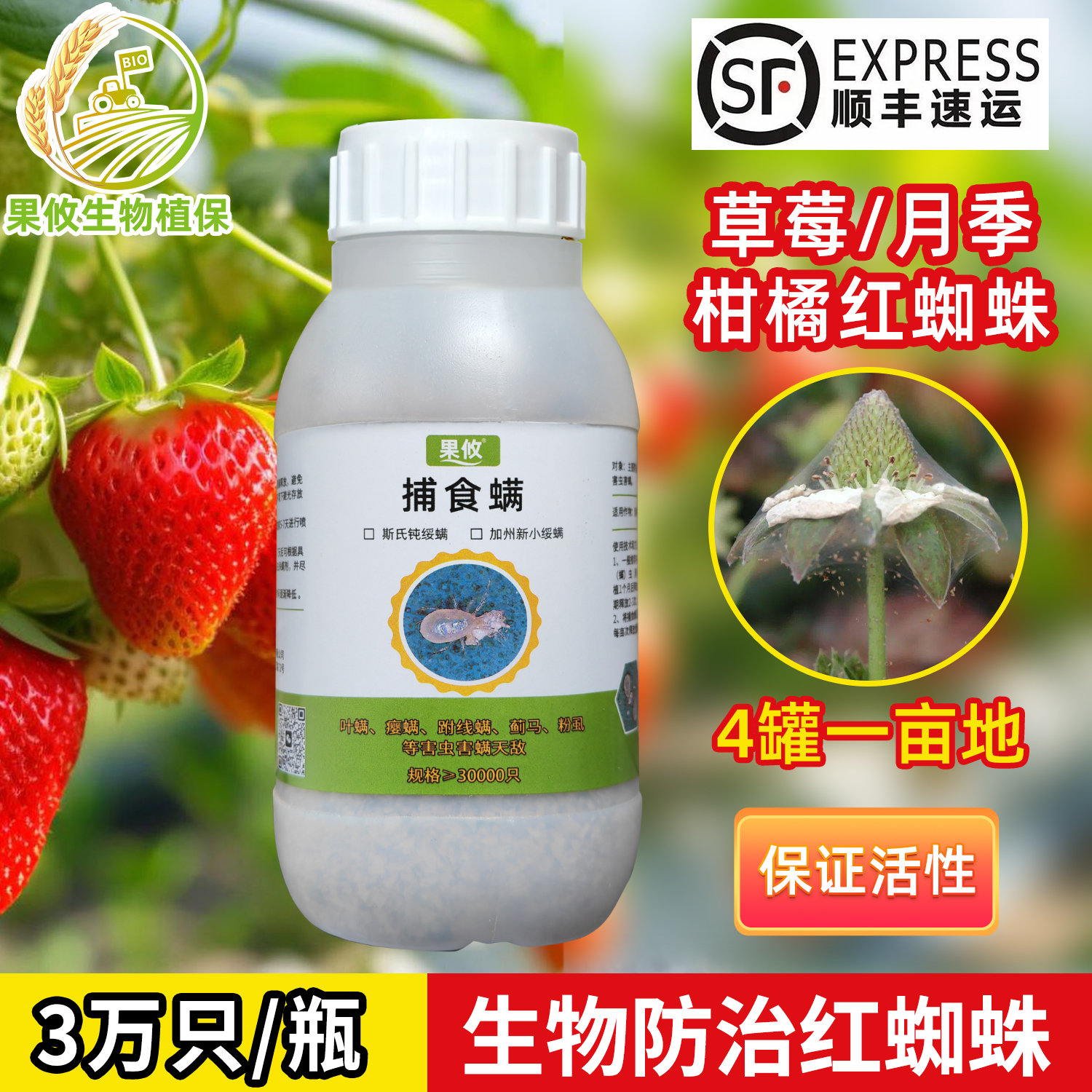果攸捕食螨红蜘蛛天敌控制效果好