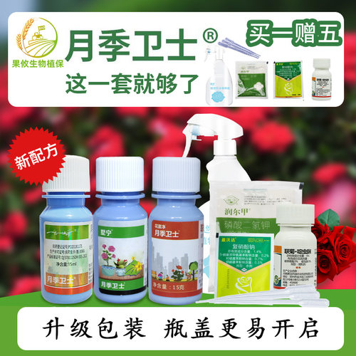 月季卫士套装白粉病红蜘蛛常用药