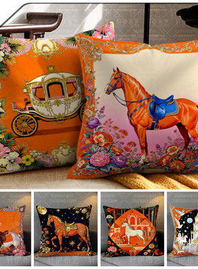 轻奢橙色抱枕客厅沙发靠垫方形现代简约抱枕套宿舍床头靠枕靠垫套