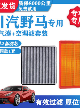 川汽野马T701.8 T802.0T斯派克博骏F99F10空气滤芯空调空滤格网