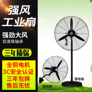 摇头大风量尚顶风铜电机大功率