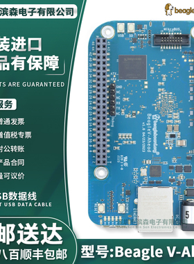 Beagle V-Ahead AI加速 学习开源硬件 BeagleV-Ahead BEAGLEBOARD